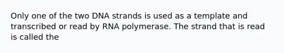 Only one of the two DNA strands is used as a template and transcribed or read by RNA polymerase. The strand that is read is called the