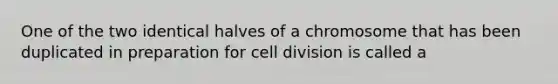 One of the two identical halves of a chromosome that has been duplicated in preparation for cell division is called a