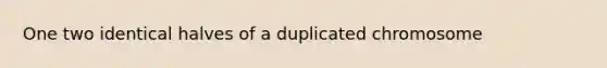 One two identical halves of a duplicated chromosome