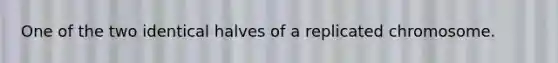 One of the two identical halves of a replicated chromosome.