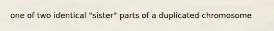 one of two identical "sister" parts of a duplicated chromosome