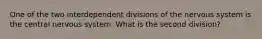 One of the two interdependent divisions of the nervous system is the central nervous system. What is the second division?