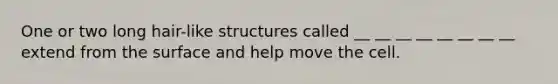 One or two long hair-like structures called __ __ __ __ __ __ __ __ extend from the surface and help move the cell.