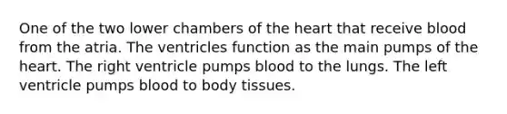 One of the two lower chambers of the heart that receive blood from the atria. The ventricles function as the main pumps of the heart. The right ventricle pumps blood to the lungs. The left ventricle pumps blood to body tissues.