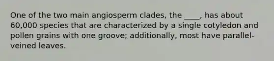 One of the two main angiosperm clades, the ____, has about 60,000 species that are characterized by a single cotyledon and pollen grains with one groove; additionally, most have parallel-veined leaves.​