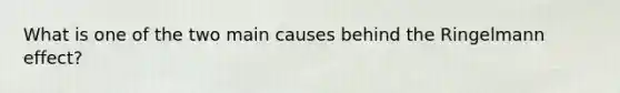 What is one of the two main causes behind the Ringelmann effect?