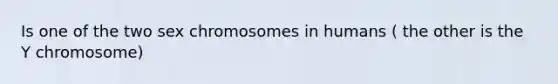 Is one of the two sex chromosomes in humans ( the other is the Y chromosome)