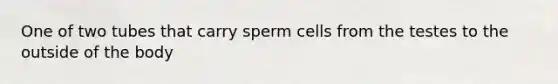 One of two tubes that carry sperm cells from the testes to the outside of the body