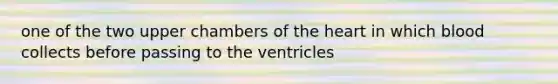 one of the two upper chambers of the heart in which blood collects before passing to the ventricles