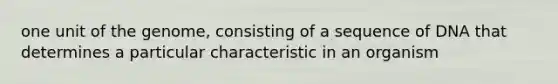 one unit of the genome, consisting of a sequence of DNA that determines a particular characteristic in an organism