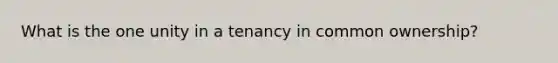 What is the one unity in a tenancy in common ownership?