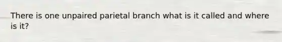 There is one unpaired parietal branch what is it called and where is it?