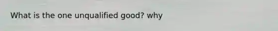 What is the one unqualified good? why