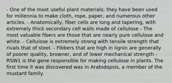 - One of the most useful plant materials; they have been used for millennia to make cloth, rope, paper, and numerous other articles. - Anatomically, fiber cells are long and tapering, with extremely thick secondary cell walls made of cellulose - The most valuable fibers are those that are nearly pure cellulose and white. - Cellulose is extremely strong with tensile strength that rivals that of steel. - Fibbers that are high in lignin are generally of poorer quality, browner, and of lower mechanical strength - RSW1 is the gene responsible for making cellulose in plants. The first time it was discovered was in Arabidopsis, a member of the mustard family.