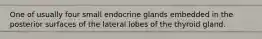 One of usually four small endocrine glands embedded in the posterior surfaces of the lateral lobes of the thyroid gland.