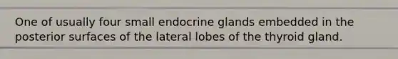 One of usually four small endocrine glands embedded in the posterior surfaces of the lateral lobes of the thyroid gland.