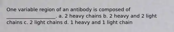 One variable region of an antibody is composed of ____________________. a. 2 heavy chains b. 2 heavy and 2 light chains c. 2 light chains d. 1 heavy and 1 light chain