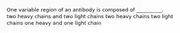 One variable region of an antibody is composed of __________. two heavy chains and two light chains two heavy chains two light chains one heavy and one light chain