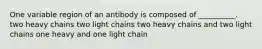 One variable region of an antibody is composed of __________. two heavy chains two light chains two heavy chains and two light chains one heavy and one light chain