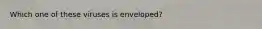 Which one of these viruses is enveloped?