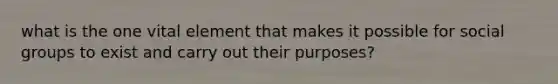 what is the one vital element that makes it possible for social groups to exist and carry out their purposes?