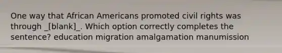 One way that African Americans promoted civil rights was through _[blank]_. Which option correctly completes the sentence? education migration amalgamation manumission