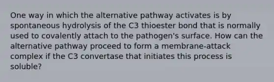 One way in which the alternative pathway activates is by spontaneous hydrolysis of the C3 thioester bond that is normally used to covalently attach to the pathogen's surface. How can the alternative pathway proceed to form a membrane-attack complex if the C3 convertase that initiates this process is soluble?