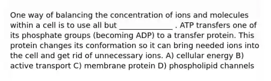 One way of balancing the concentration of ions and molecules within a cell is to use all but ______________ . ATP transfers one of its phosphate groups (becoming ADP) to a transfer protein. This protein changes its conformation so it can bring needed ions into the cell and get rid of unnecessary ions. A) cellular energy B) active transport C) membrane protein D) phospholipid channels