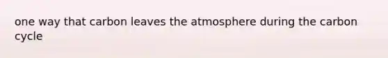 one way that carbon leaves the atmosphere during the carbon cycle