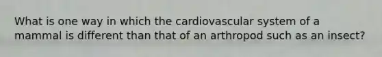 What is one way in which the cardiovascular system of a mammal is different than that of an arthropod such as an insect?