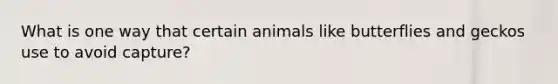 What is one way that certain animals like butterflies and geckos use to avoid capture?