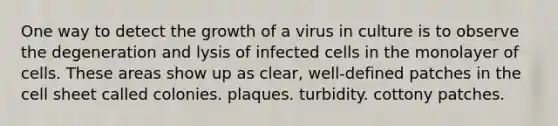 One way to detect the growth of a virus in culture is to observe the degeneration and lysis of infected cells in the monolayer of cells. These areas show up as clear, well-defined patches in the cell sheet called colonies. plaques. turbidity. cottony patches.