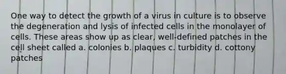 One way to detect the growth of a virus in culture is to observe the degeneration and lysis of infected cells in the monolayer of cells. These areas show up as clear, well-defined patches in the cell sheet called a. colonies b. plaques c. turbidity d. cottony patches