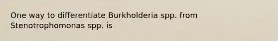 One way to differentiate Burkholderia spp. from Stenotrophomonas spp. is