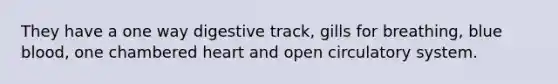 They have a one way digestive track, gills for breathing, blue blood, one chambered heart and open circulatory system.