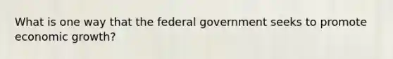 What is one way that the federal government seeks to promote economic growth?