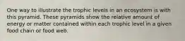 One way to illustrate the trophic levels in an ecosystem is with this pyramid. These pyramids show the relative amount of energy or matter contained within each trophic level in a given food chain or food web.