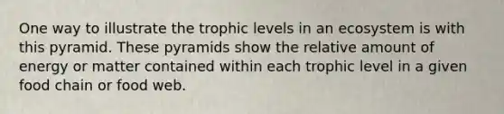 One way to illustrate the trophic levels in an ecosystem is with this pyramid. These pyramids show the relative amount of energy or matter contained within each trophic level in a given food chain or food web.