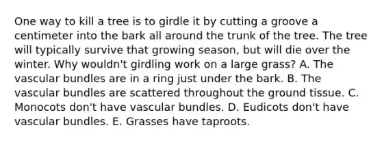 One way to kill a tree is to girdle it by cutting a groove a centimeter into the bark all around the trunk of the tree. The tree will typically survive that growing season, but will die over the winter. Why wouldn't girdling work on a large grass? A. The vascular bundles are in a ring just under the bark. B. The vascular bundles are scattered throughout the ground tissue. C. Monocots don't have vascular bundles. D. Eudicots don't have vascular bundles. E. Grasses have taproots.