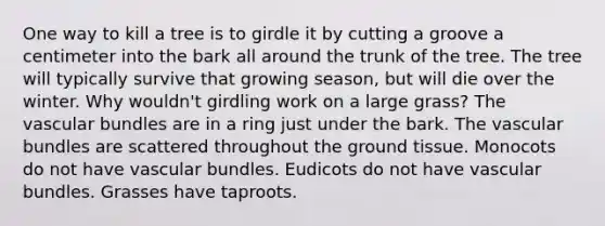 One way to kill a tree is to girdle it by cutting a groove a centimeter into the bark all around the trunk of the tree. The tree will typically survive that growing season, but will die over the winter. Why wouldn't girdling work on a large grass? The vascular bundles are in a ring just under the bark. The vascular bundles are scattered throughout the ground tissue. Monocots do not have vascular bundles. Eudicots do not have vascular bundles. Grasses have taproots.