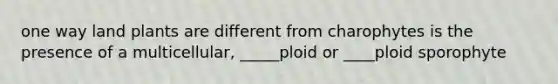 one way land plants are different from charophytes is the presence of a multicellular, _____ploid or ____ploid sporophyte