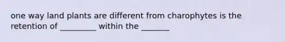 one way land plants are different from charophytes is the retention of _________ within the _______