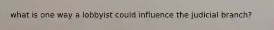 what is one way a lobbyist could influence the judicial branch?