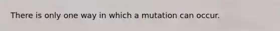 There is only one way in which a mutation can occur.