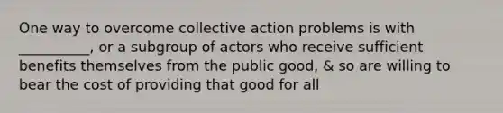 One way to overcome collective action problems is with __________, or a subgroup of actors who receive sufficient benefits themselves from the public good, & so are willing to bear the cost of providing that good for all