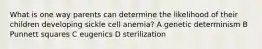 What is one way parents can determine the likelihood of their children developing sickle cell anemia? A genetic determinism B Punnett squares C eugenics D sterilization