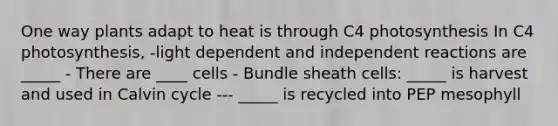 One way plants adapt to heat is through C4 photosynthesis In C4 photosynthesis, -light dependent and independent reactions are _____ - There are ____ cells - Bundle sheath cells: _____ is harvest and used in Calvin cycle --- _____ is recycled into PEP mesophyll