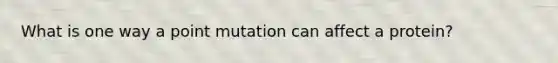 What is one way a point mutation can affect a protein?