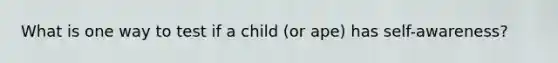 What is one way to test if a child (or ape) has self-awareness?