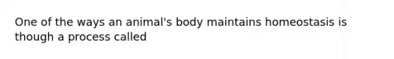One of the ways an animal's body maintains homeostasis is though a process called